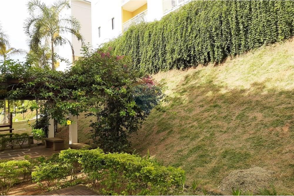 Apartamento - Alugar - Valinhos , São Paulo - 7f5f4f24-5ec6-4984-91db-ae3cf59512bb.jpg - 690851008-583