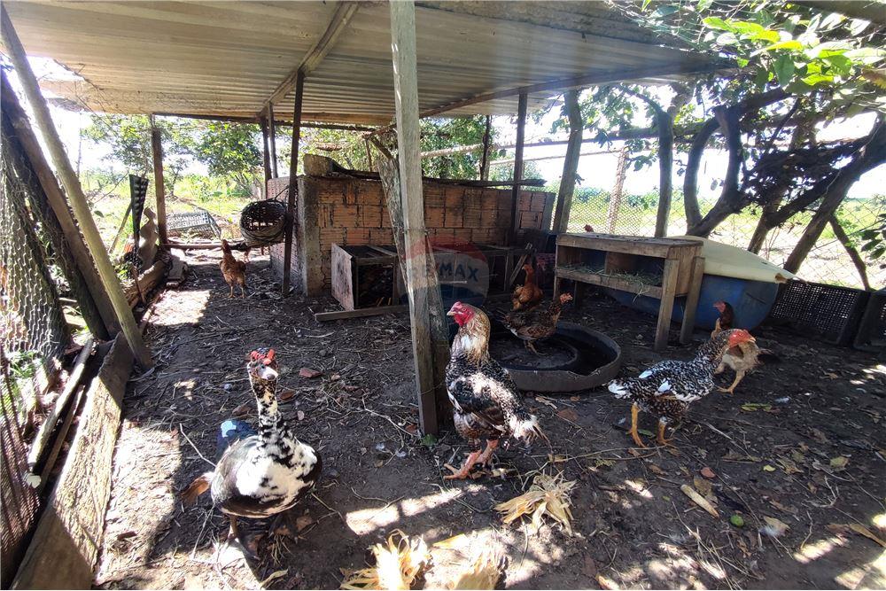 Chácara / Sítio / Fazenda - Venda - Mogi Guaçu , São Paulo - Jardim Externo - 690521015-158