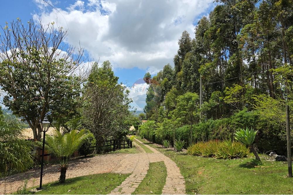 Chácara / Sítio / Fazenda - Venda - Pedra Bela , São Paulo - 20251111_114951.jpg - 690041041-48