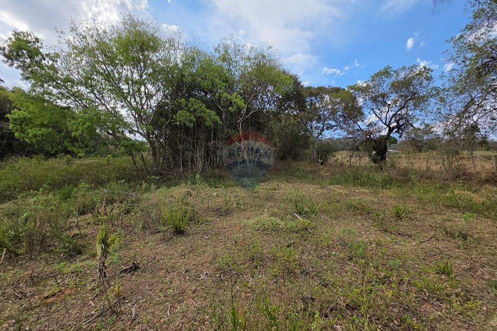 Terreno - Venda - Camanducaia , Minas Gerais - 20250919_144123.jpg - 690041041-51