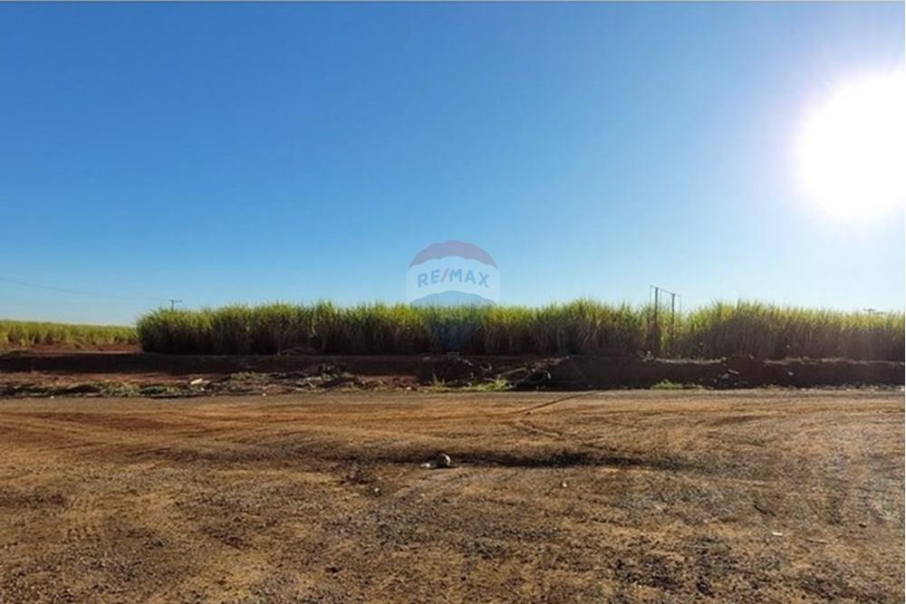 Terreno - Venda - Rio das Pedras , São Paulo - 20250625_155139.jpg - 690781159-3