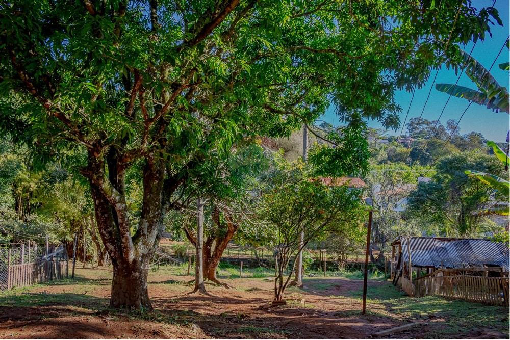 Chácara / Sítio / Fazenda - Venda - Atibaia , São Paulo - RINF-153.jpg - 690921066-77