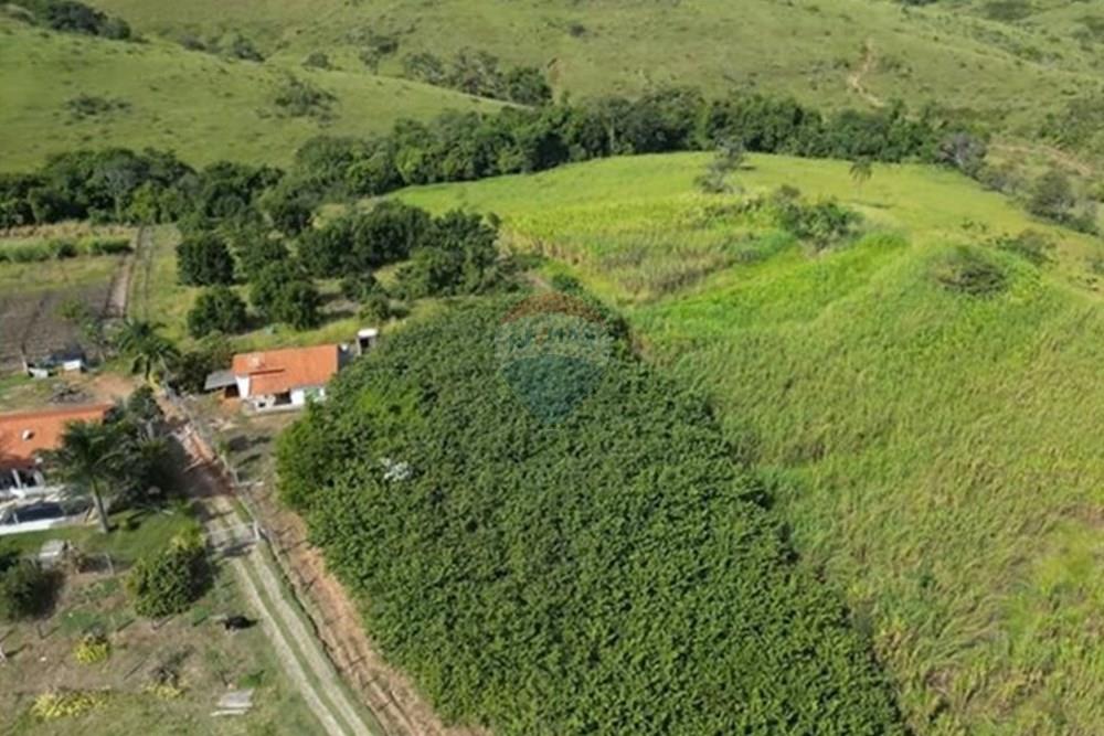 Chácara / Sítio / Fazenda - Venda - Itapira , São Paulo - IMG-20250713-WA0589.jpg - 690291085-364