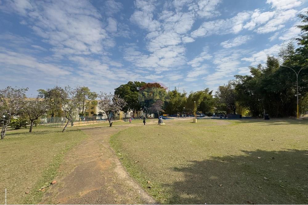 Apartamento - Venda - Campinas , São Paulo - Fotos Apto Oscar (45).jpg - 690681005-115