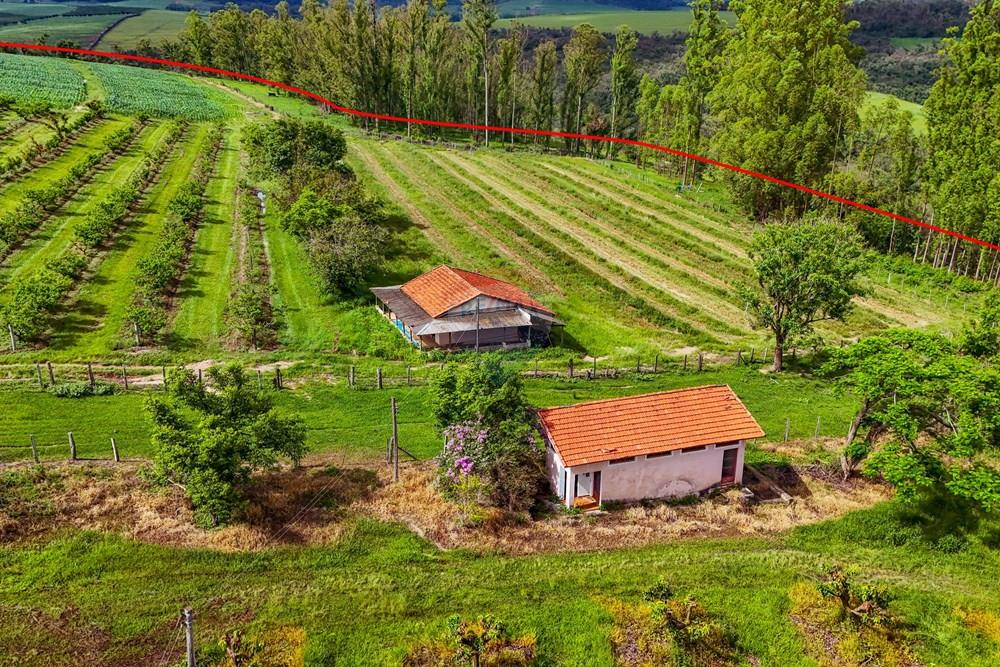 Fazenda - Venda - Analândia , São Paulo - Tratada - Drone-52.jpg - 690691016-305