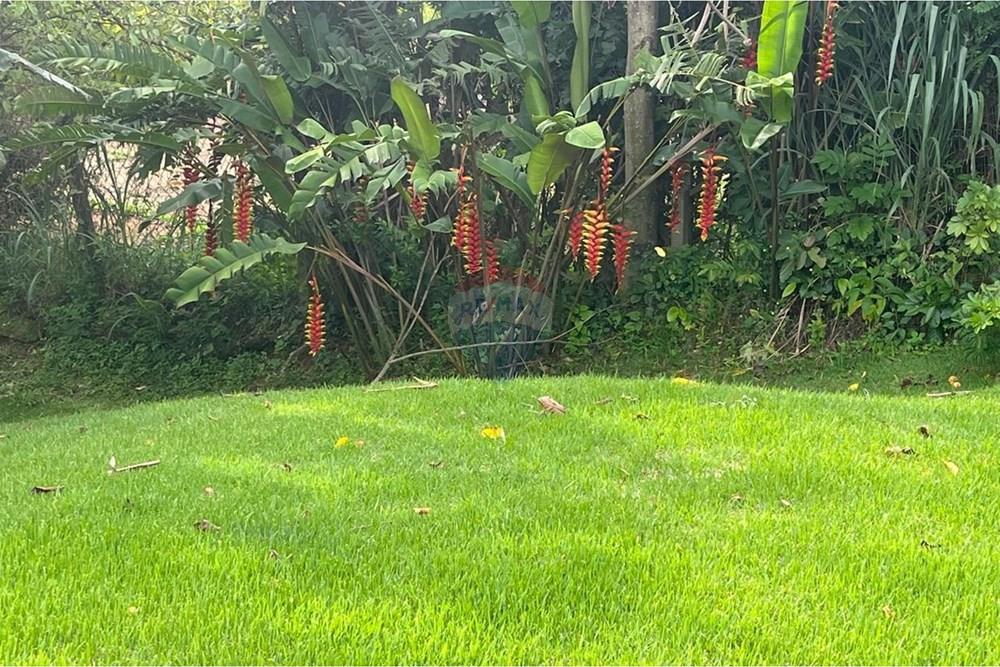 Chácara / Sítio / Fazenda - Venda - Vinhedo , São Paulo - WhatsApp Image 2026-02-04 at 15.55.03 (6).jpeg - 691181002-49