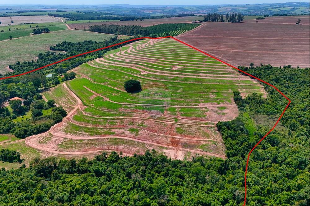 Chácara / Sítio / Fazenda - Venda - Santa Cruz da Conceição , São Paulo - Tratada-9.jpg - 690481029-26