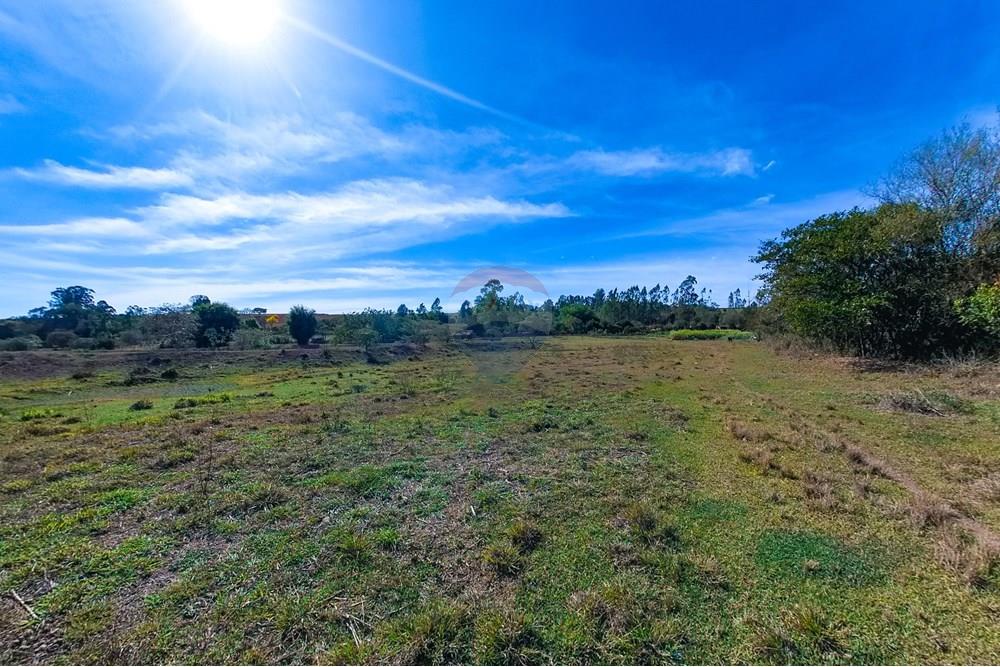 Chácara / Sítio / Fazenda - Venda - Santa Cruz da Conceição , São Paulo - Tratada-41.jpg - 690481001-177