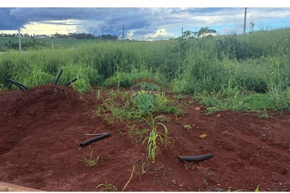 Terreno - Venda - Araraquara , São Paulo - WhatsApp Image 2026-02-16 at 15.51.31 (1).jpeg - 690151103-8