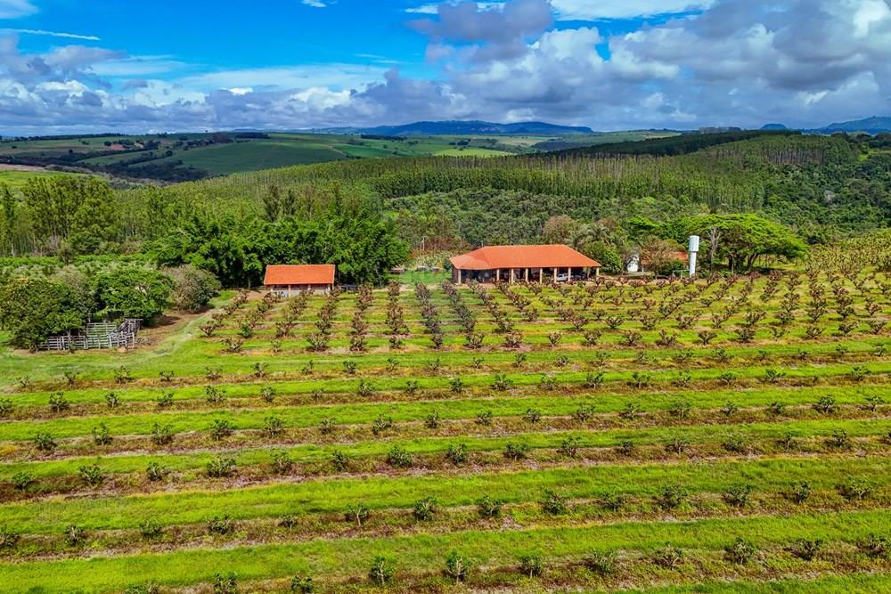 Fazenda - Venda - Analândia , São Paulo - Tratada - Drone-59.jpg - 690691016-305