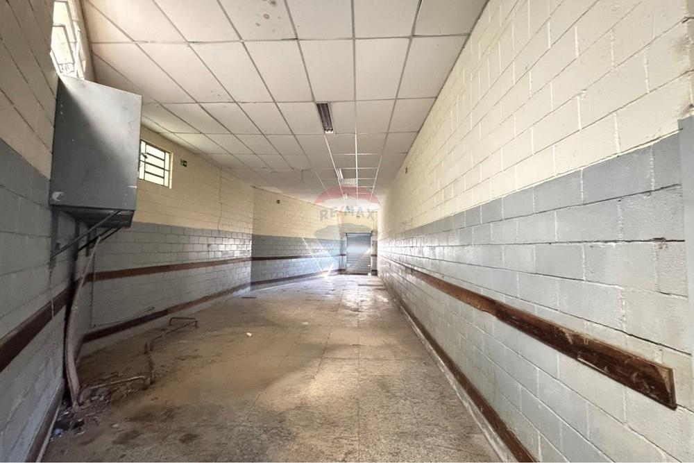 Galpão - Alugar - Campinas , São Paulo - IMG_6288.JPEG - 691181013-18