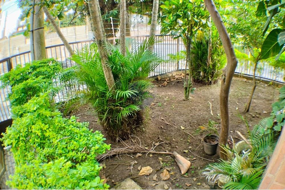 Apartamento - Venda - Guarujá , São Paulo - WhatsApp Image 2025-07-21 at 16.42.55 (4).jpeg - 690501058-24