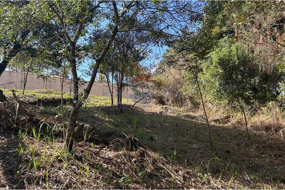 Terreno - Venda - Jarinu , São Paulo - IMG-20250819-WA0019.jpg - 690661027-137