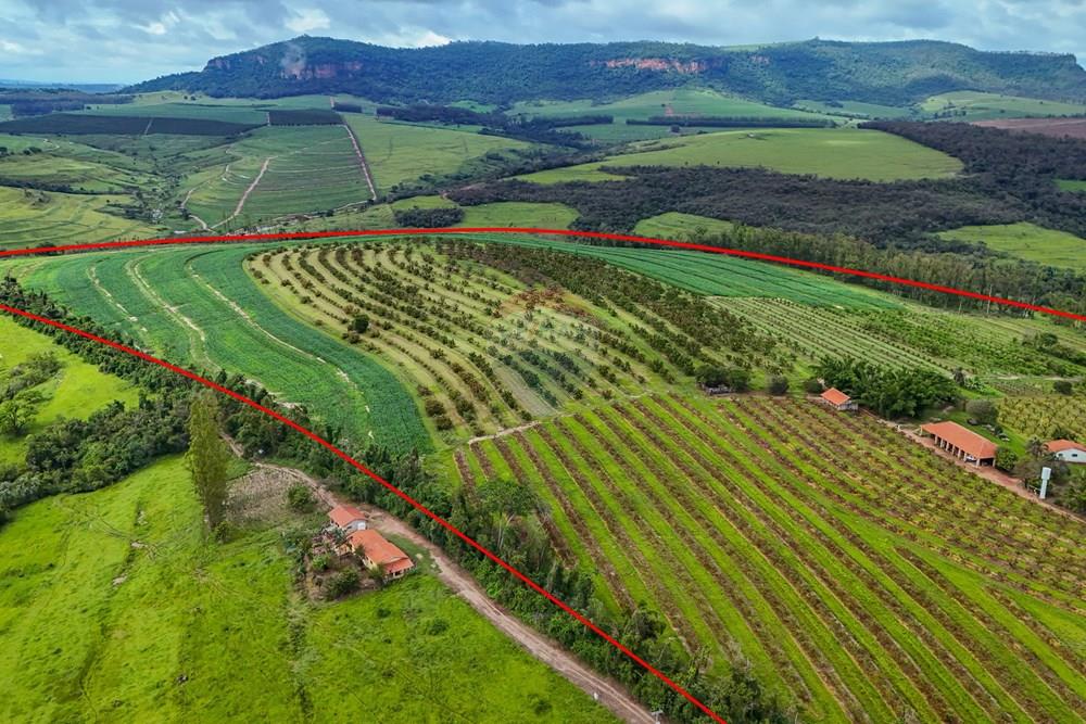 Fazenda - Venda - Analândia , São Paulo - Tratada - Drone-9.jpg - 690691016-305