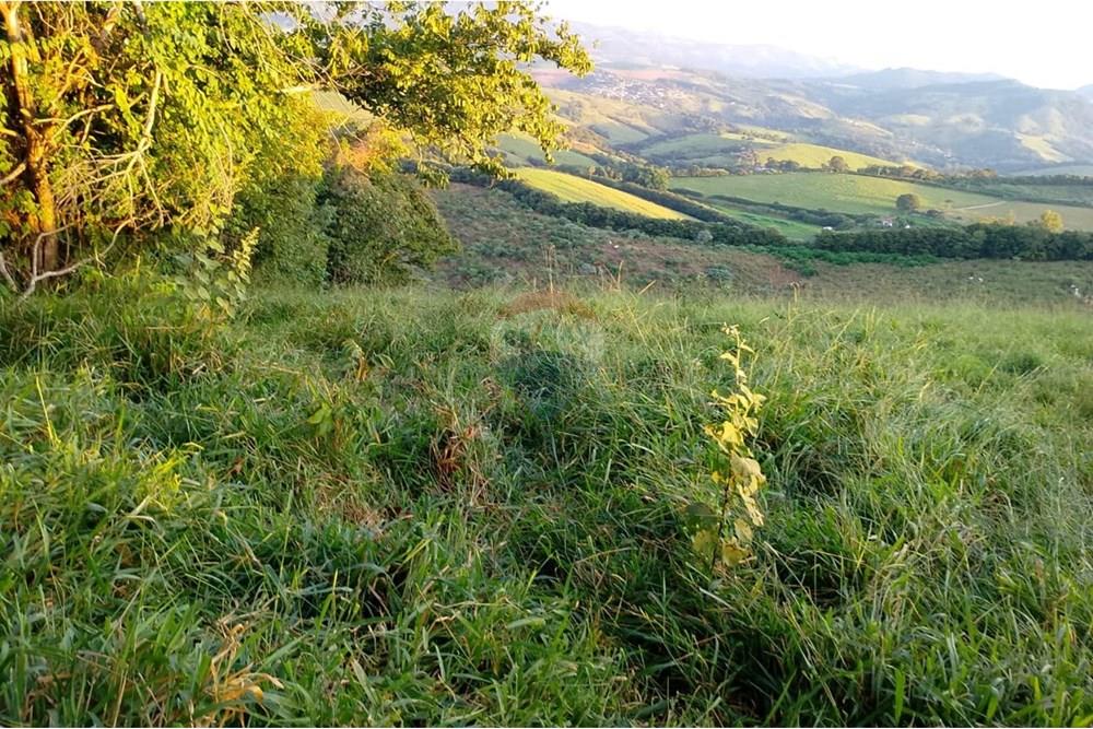 Terreno - Venda - Lindóia , São Paulo - IMG-20250507-WA0028.jpg - 690291056-36