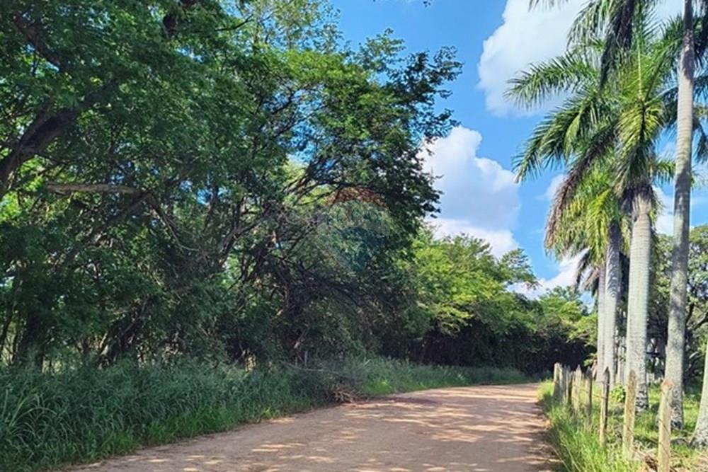 Gyvenamasis - Žemės sklypas - Pedreira , San Paulas - BR - WhatsApp Image 2025-01-15 at 16.18.07 (2).jpeg - 690671004-331