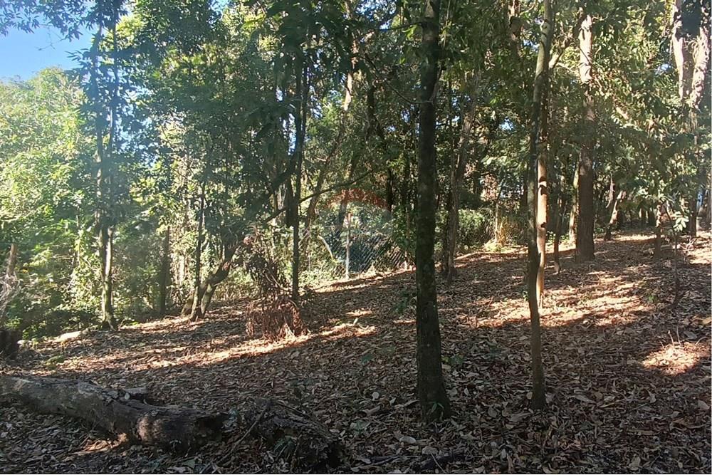 Terreno - Venda - Jaguariúna , São Paulo - 23.JPG - 690671070-9