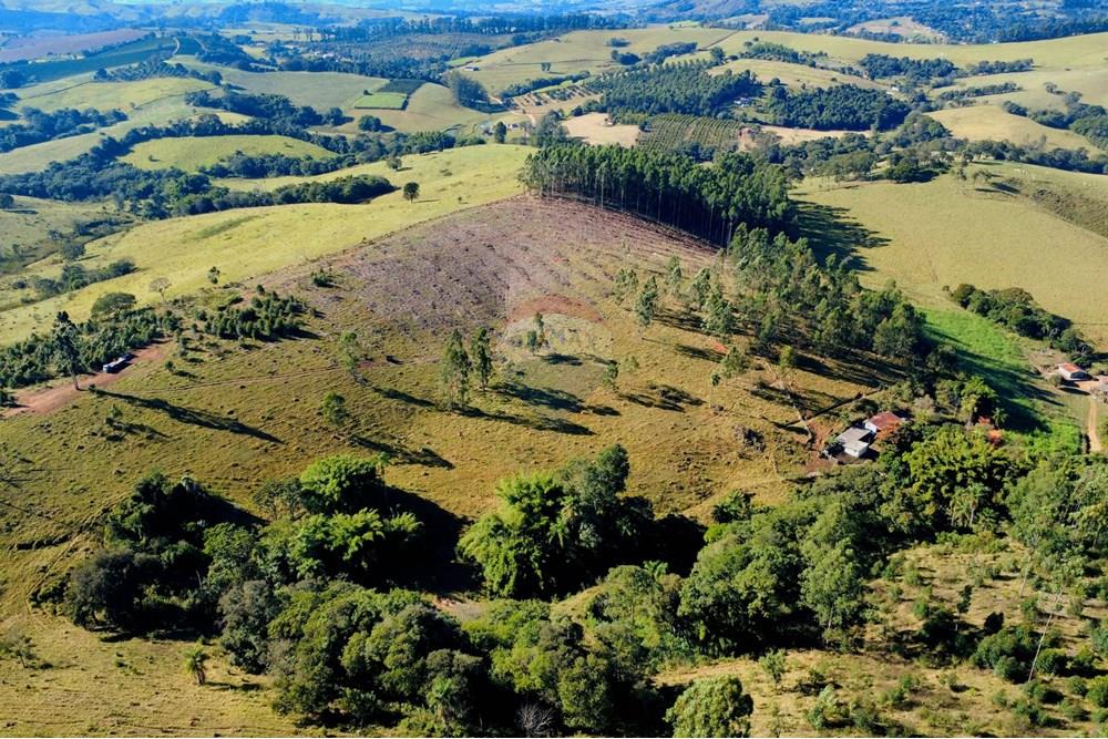 Chácara / Sítio / Fazenda - Venda - Socorro , São Paulo - dji_fly_20250617_094252_206_1750164212398_photo_optimized.jpg - 690291056-39