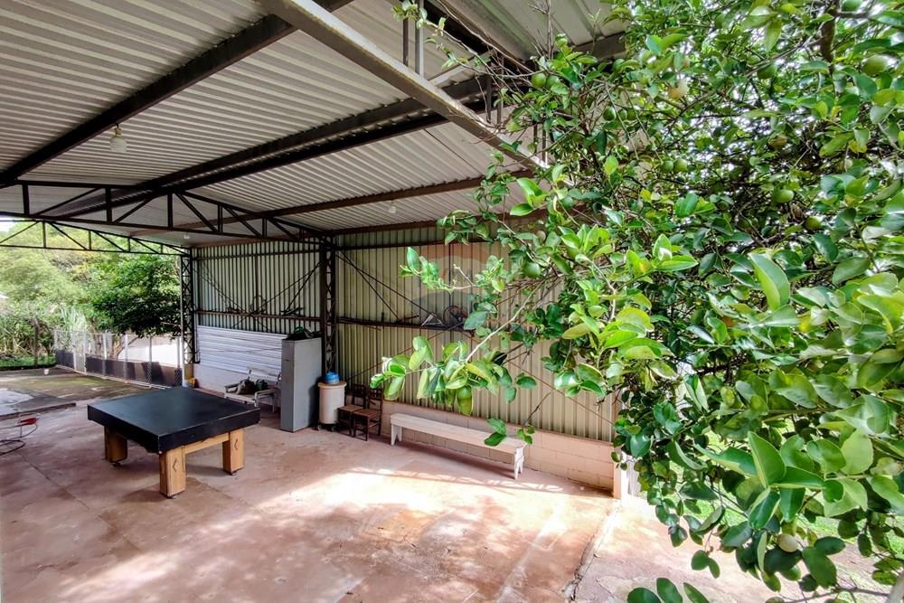 Chácara / Sítio / Fazenda - Venda - Mogi Mirim , São Paulo - 80.jpg - 690521007-331