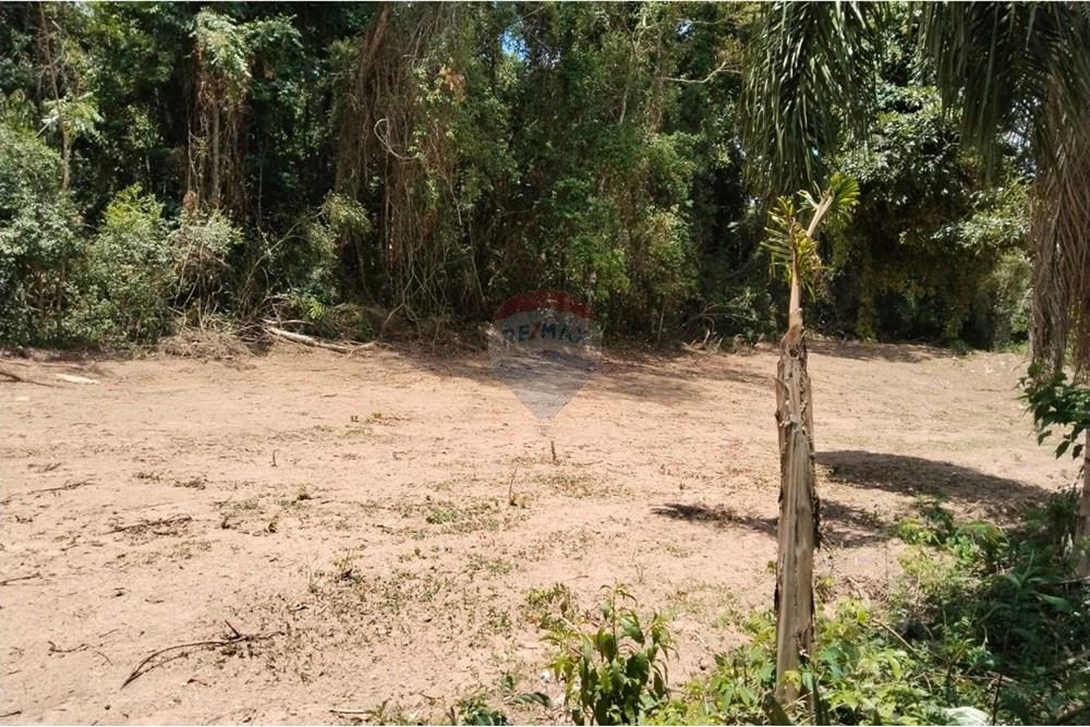 Chácara / Sítio / Fazenda - Venda - Atibaia , São Paulo - Foto6.jpg - 690791148-26