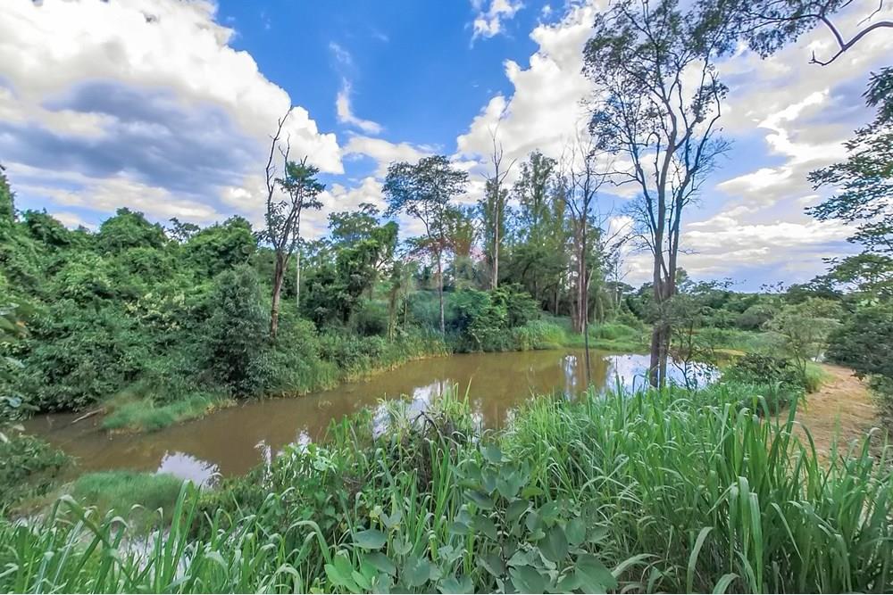 Chácara / Sítio / Fazenda - Venda - Araras , São Paulo - Tratada-56.jpg - 690691016-236