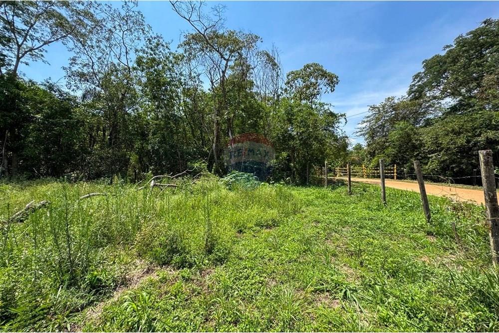 Terreno - Venda - Estiva Gerbi , São Paulo - WhatsApp Image 2025-10-18 at 11.25.57 (5).jpeg - 690521005-176