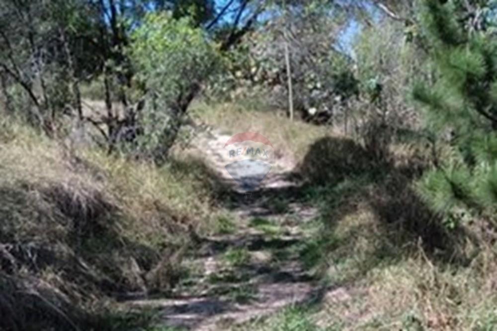 Chácara / Sítio / Fazenda - Venda - Serra Negra , São Paulo - WhatsApp Image 2025-01-14 at 18.09.43 (4).jpeg - 690681090-34