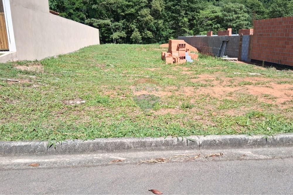 Terreno - Venda - Tuiuti , São Paulo - WhatsApp Image 2026-03-19 at 08.18.45 (1).jpeg - 690511333-41