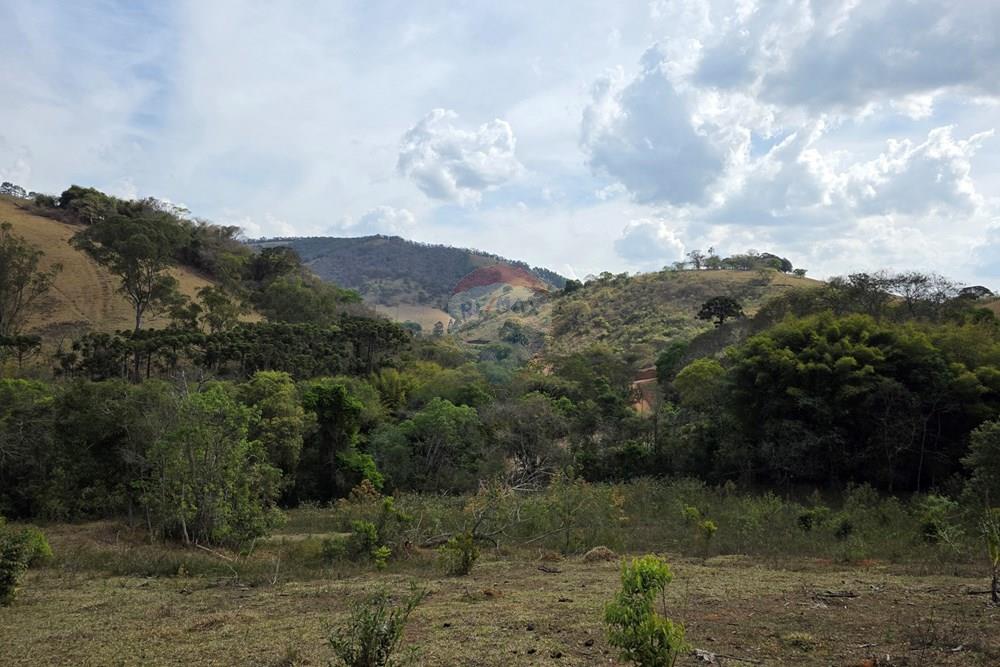 Terreno - Venda - Camanducaia , Minas Gerais - 20250919_144100.jpg - 690041041-51