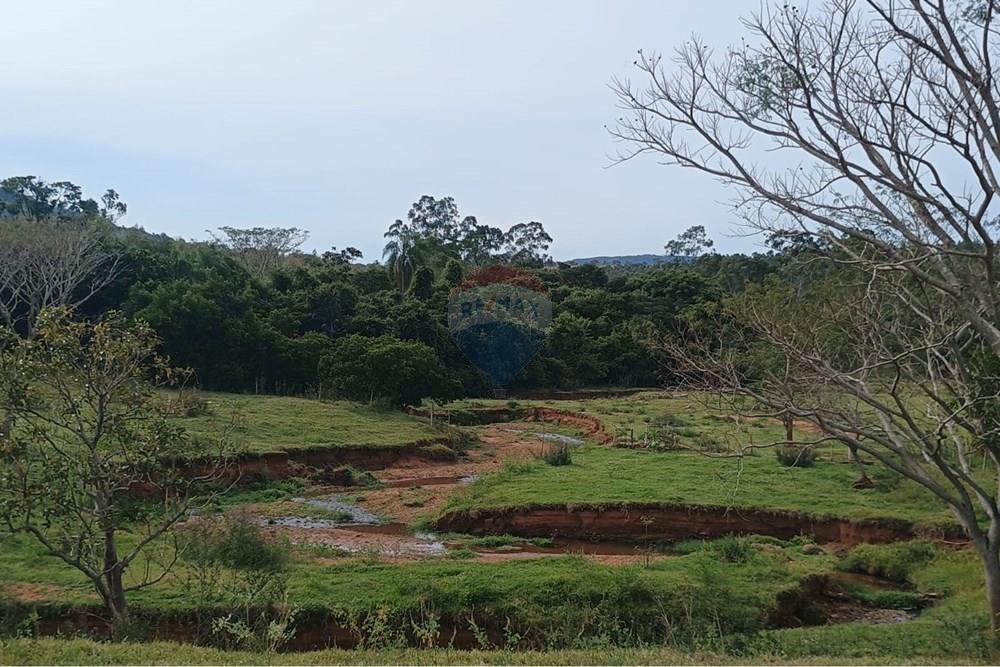 Chácara / Sítio / Fazenda - Venda - Santa Maria da Serra , São Paulo - 23dde906-5452-48f5-b588-679b12efa6eb.jpg - 690571076-32