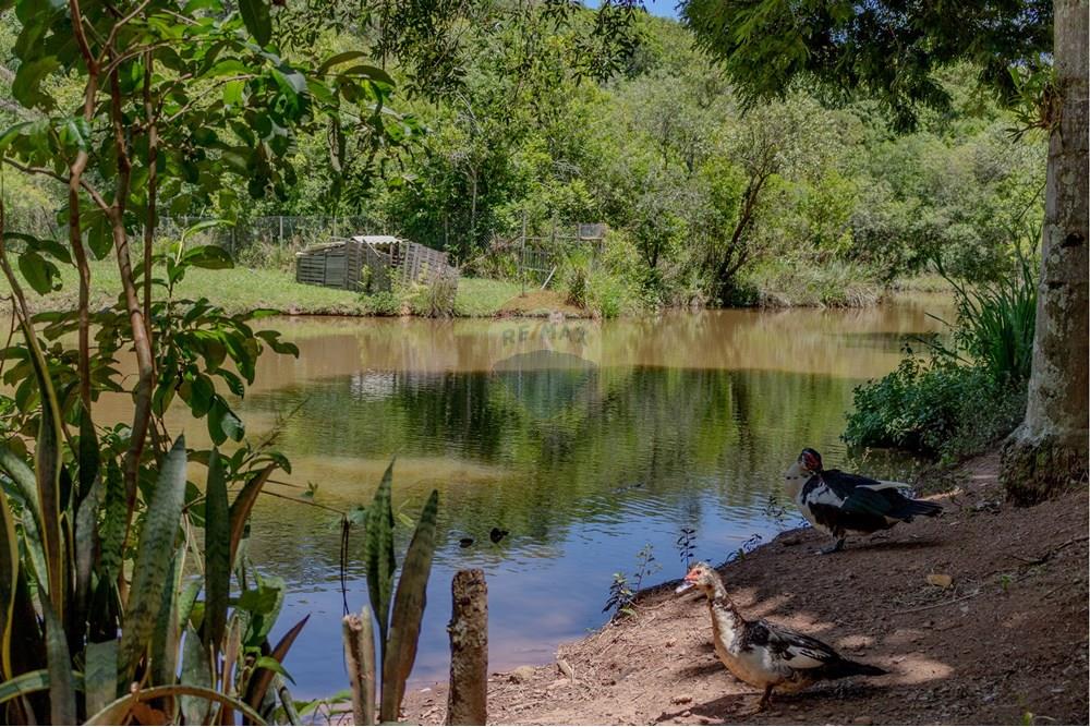 Chácara / Sítio / Fazenda - Venda - Jarinu , São Paulo - RINf-054.jpg - 690921112-9