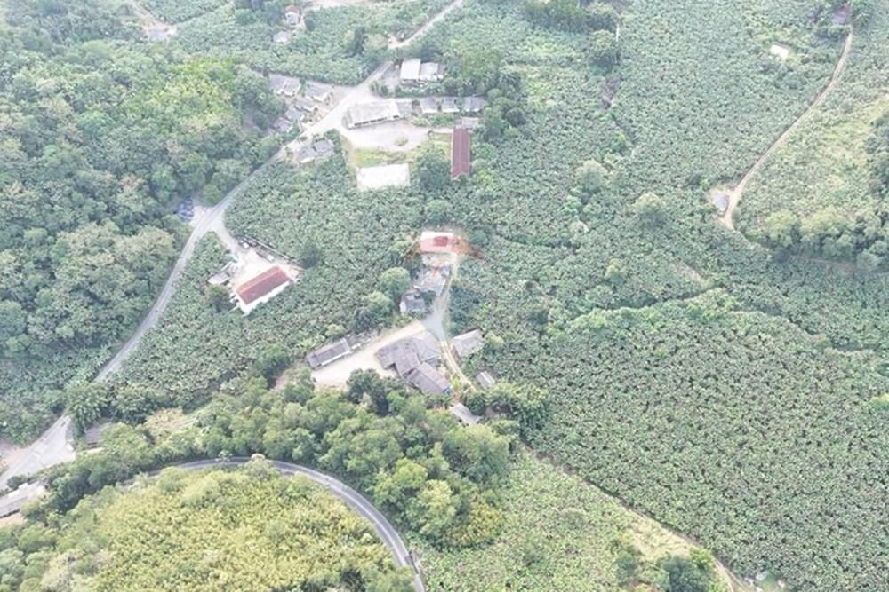 Fazenda - Venda - Miracatu , São Paulo - WhatsApp Image 2025-06-02 at 19.48.30.jpeg - 690061038-8