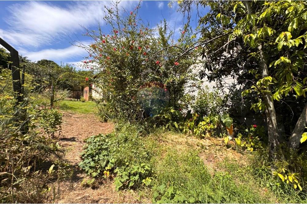 Chácara / Sítio / Fazenda - Venda - Capivari , São Paulo - foto 13.jpg - 690091006-483