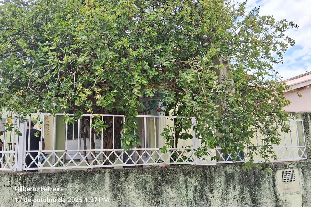 Casa - Venda - Campinas , São Paulo - WhatsApp Image 2025-11-13 at 11.38.59 (1).jpeg - 690851076-168