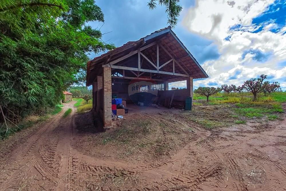 Fazenda - Venda - Analândia , São Paulo - Tratada-23.jpg - 690691016-305