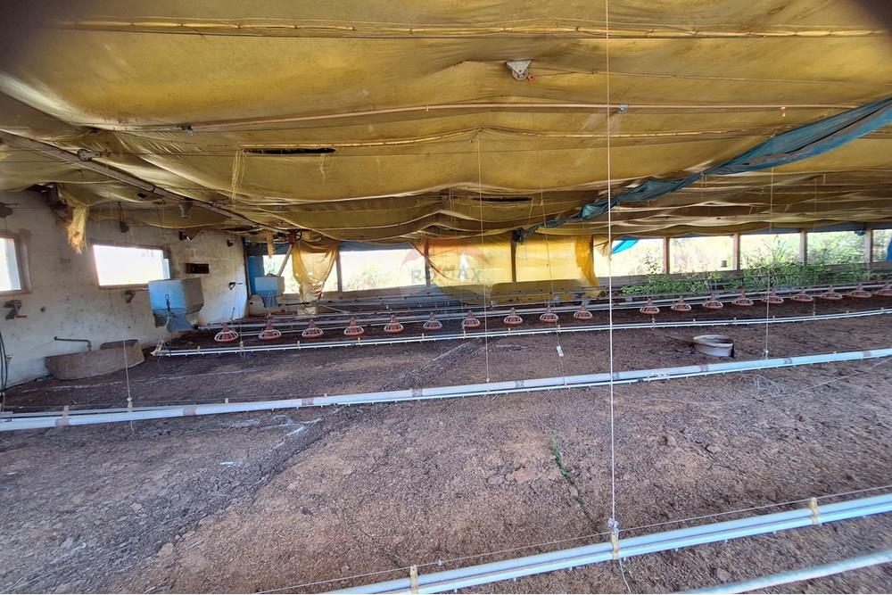 Chácara / Sítio / Fazenda - Venda - Itapira , São Paulo - 20250626_104331.jpg - 690751048-290