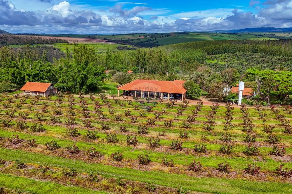 Fazenda - Venda - Analândia , São Paulo - Tratada - Drone-61.jpg - 690691016-305