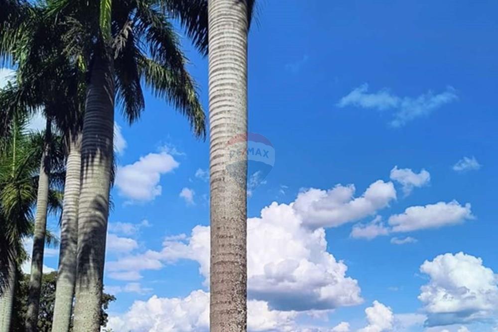 Gyvenamasis - Žemės sklypas - Pedreira , San Paulas - BR - WhatsApp Image 2025-01-15 at 16.18.07.jpeg - 690671004-331