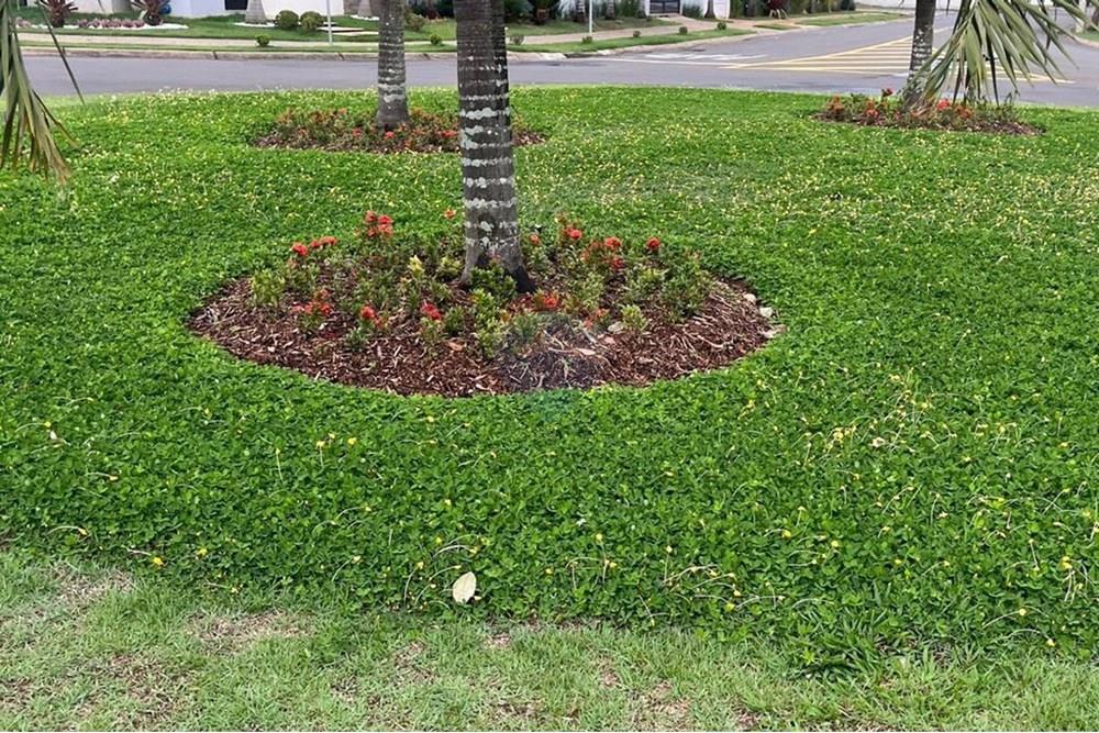 Casa de Condomínio - Venda - Paulínia , São Paulo - WhatsApp Image 2025-01-24 at 16.18.44 (1).jpeg - 690511143-65