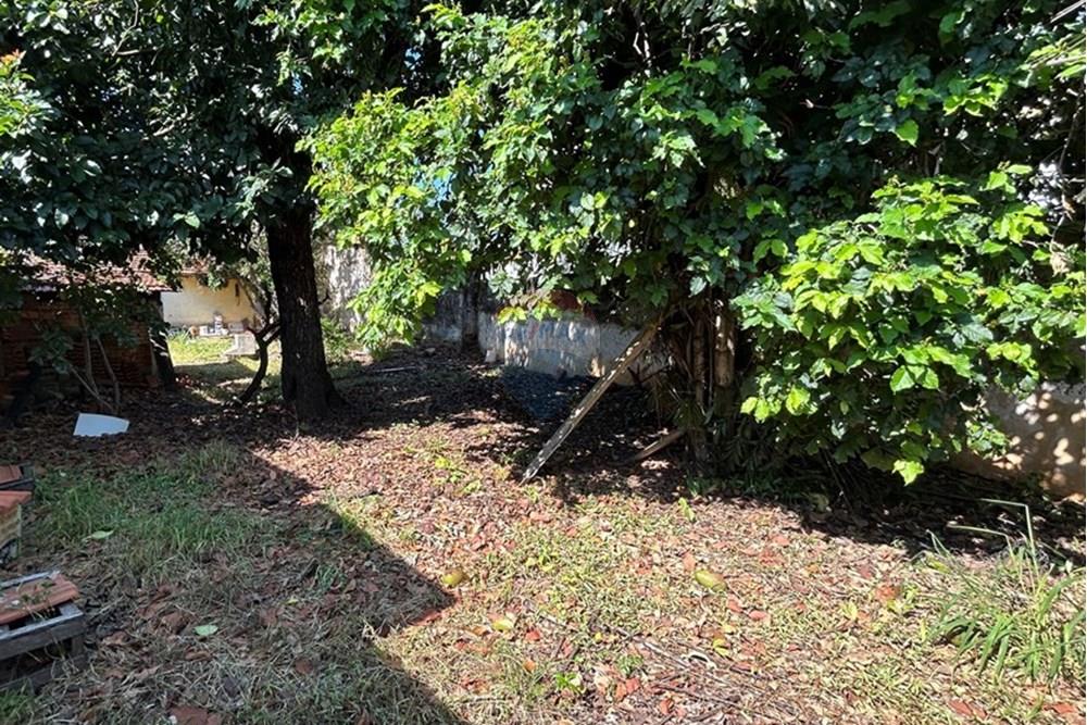 Terreno - Venda - Americana , São Paulo - IMG_8341.jpg - 690641010-528