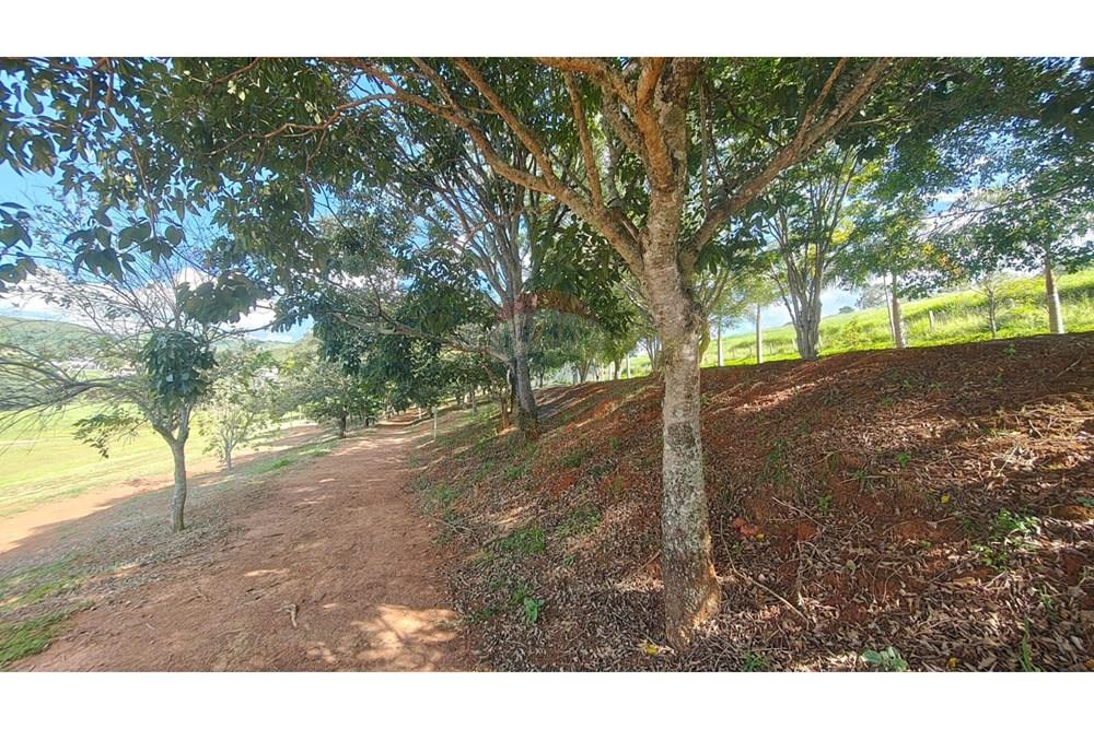 Casa - Venda - Piracaia , São Paulo - WhatsApp Image 2026-02-24 at 15.36.06.jpeg - 691011009-49