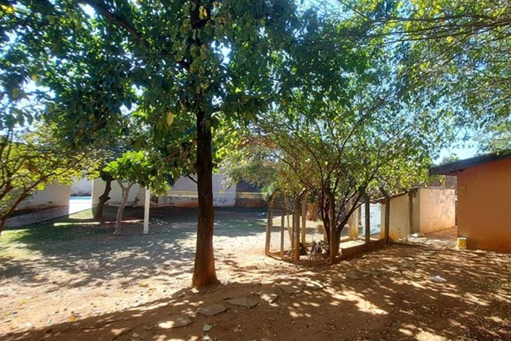 Chácara / Sítio / Fazenda - Venda - Sumaré , São Paulo - QUINTAL,,.jpeg - 690511063-50