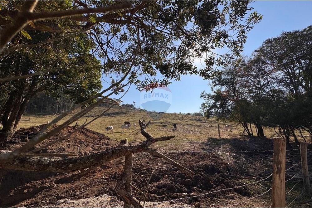 Terreno - Venda - Tuiuti , São Paulo - WhatsApp Image 2025-10-06 at 14.47.27 (7).jpeg - 690041052-114