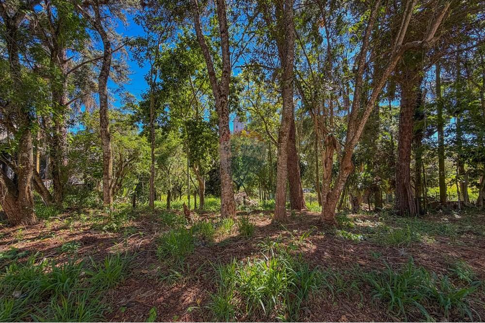 Terreno - Venda - Bragança Paulista , São Paulo - terreno13.jpg - 690041019-112
