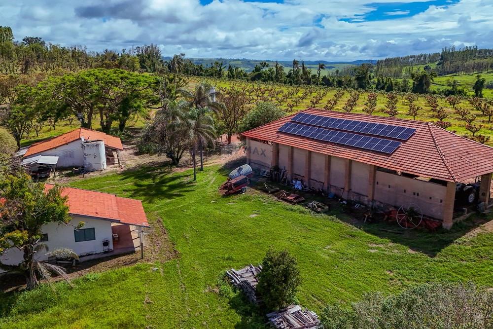 Fazenda - Venda - Analândia , São Paulo - Tratada - Drone-88.jpg - 690691016-305