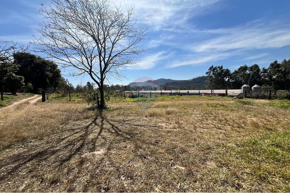 Chácara / Sítio / Fazenda - Venda - Corumbataí , São Paulo - WhatsApp Image 2025-08-27 at 15.48.03.jpeg - 690811006-143