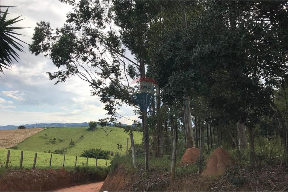 Chácara / Sítio / Fazenda - Venda - Socorro , São Paulo - IMG-20250520-WA0041.jpg - 690291056-39