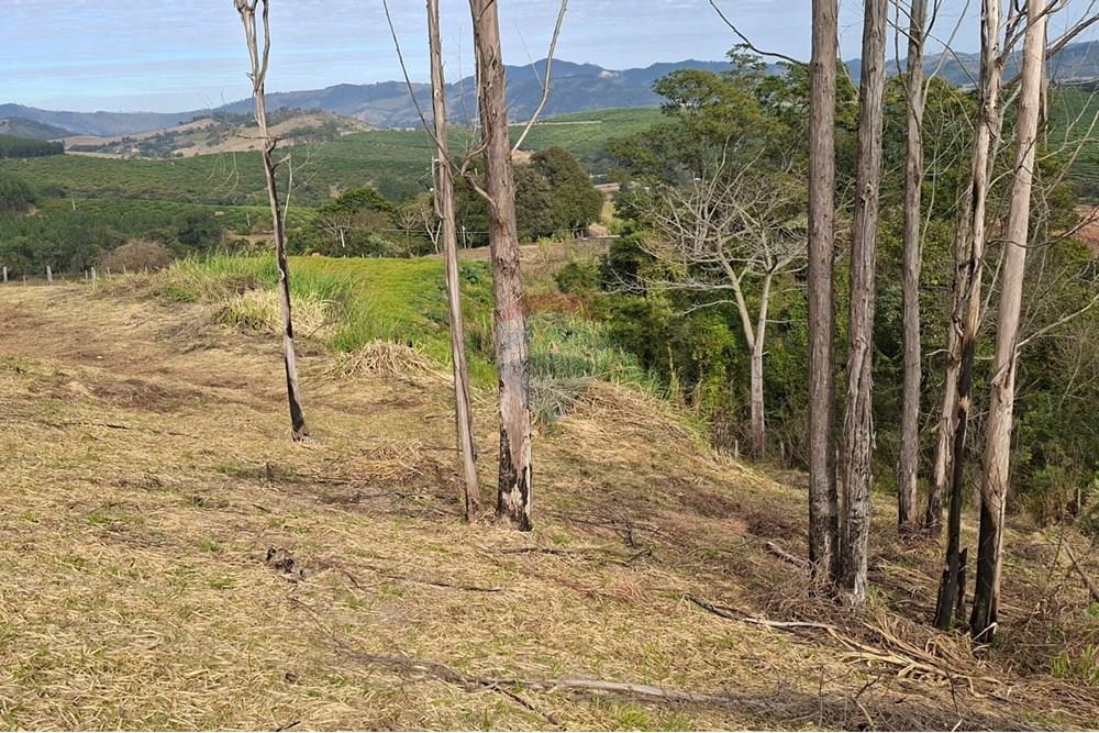 Terreno - Venda - Socorro , São Paulo - d357aea9-12f7-405e-af36-7c28f3ba3721.jpeg - 690041146-29