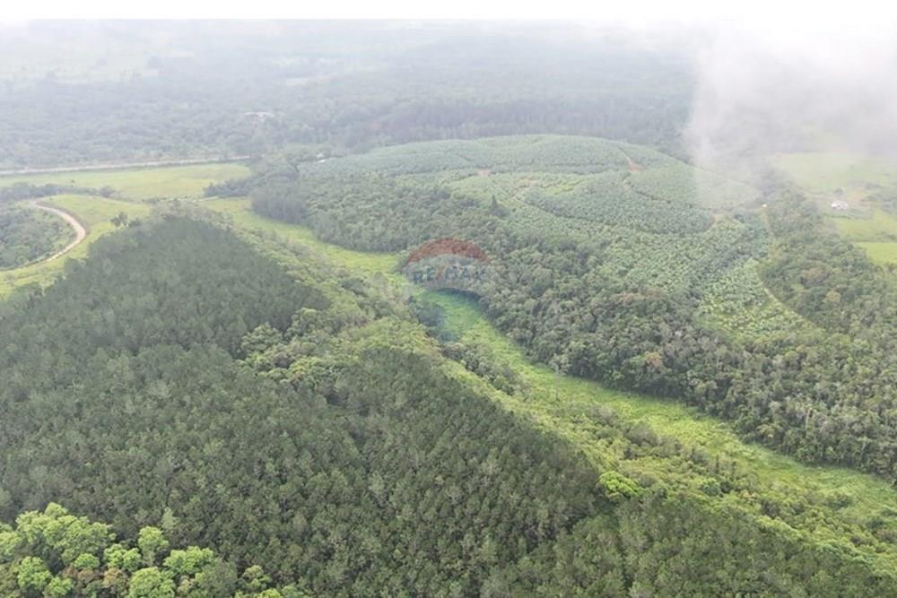 Fazenda - Venda - Jacupiranga , São Paulo - WhatsApp Image 2026-03-02 at 20.10.33 (1).jpeg - 690061037-12