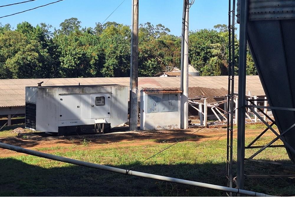 Chácara / Sítio / Fazenda - Venda - Conchal , São Paulo - 20250617_141436(1).jpg - 690751019-291